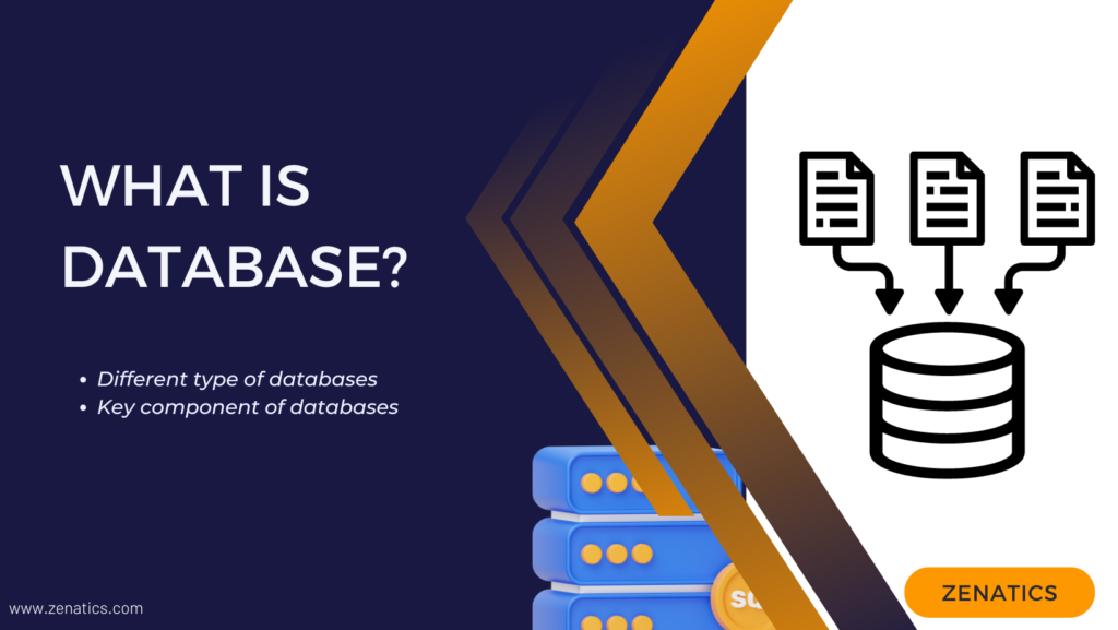 What is database?